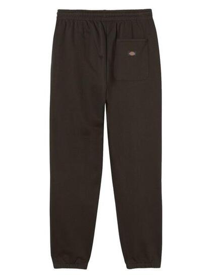 Pantalones largos/mallas para Hombre Dickies Verde