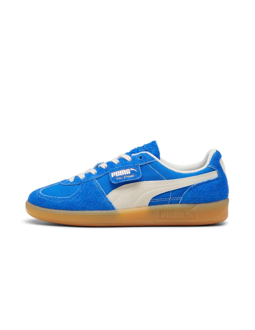 PUMA picture