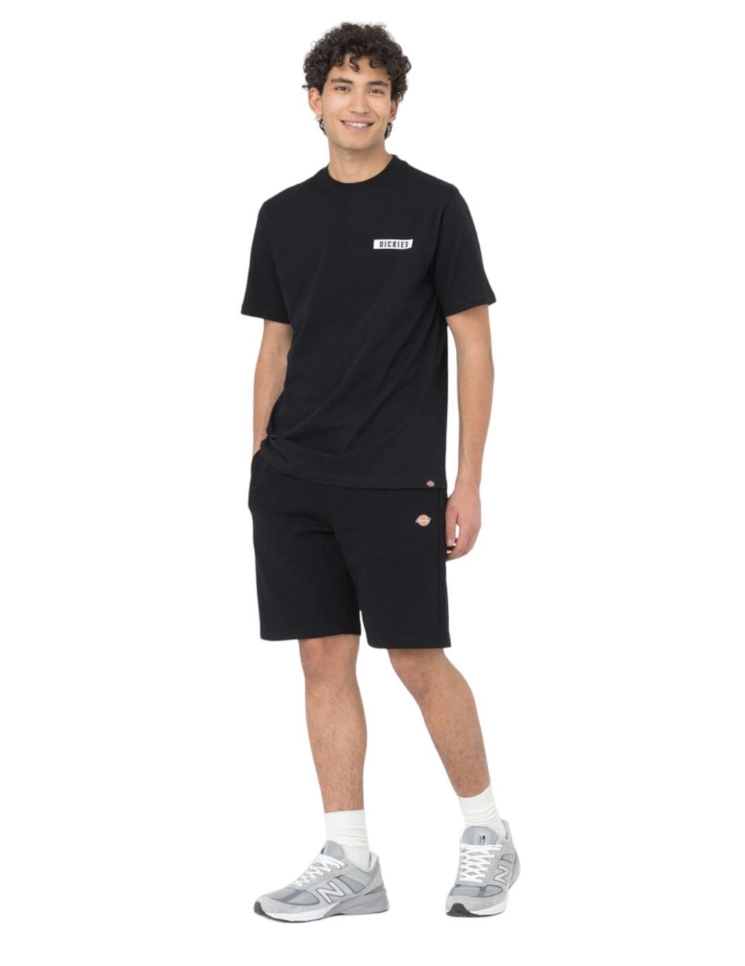 Pantalon pour homme Dickies Mapleton Noir 5/6