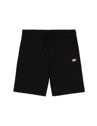 Pantalon pour homme Dickies Mapleton Noir