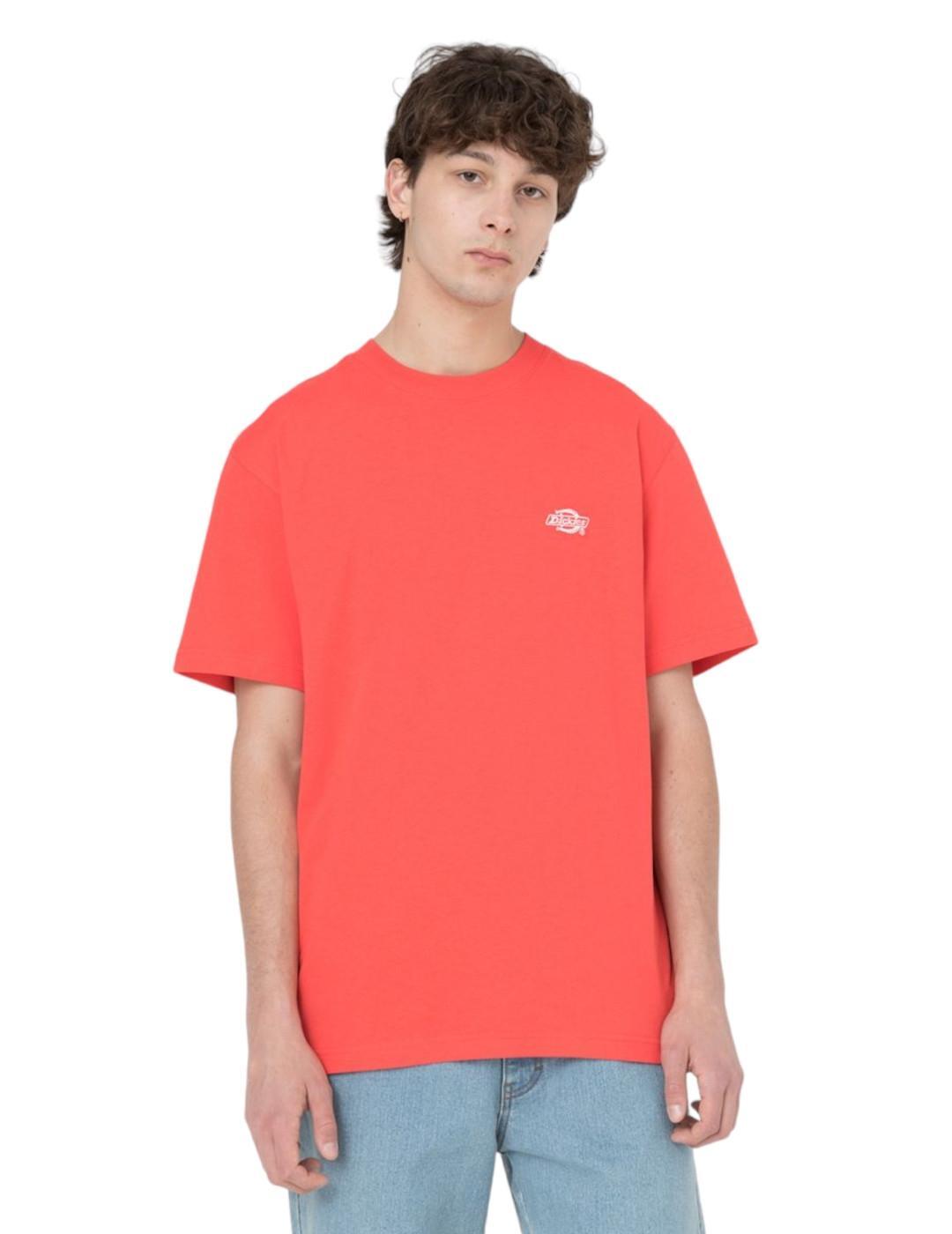 T-shirts pour Homme Dickies Rouge 3/4