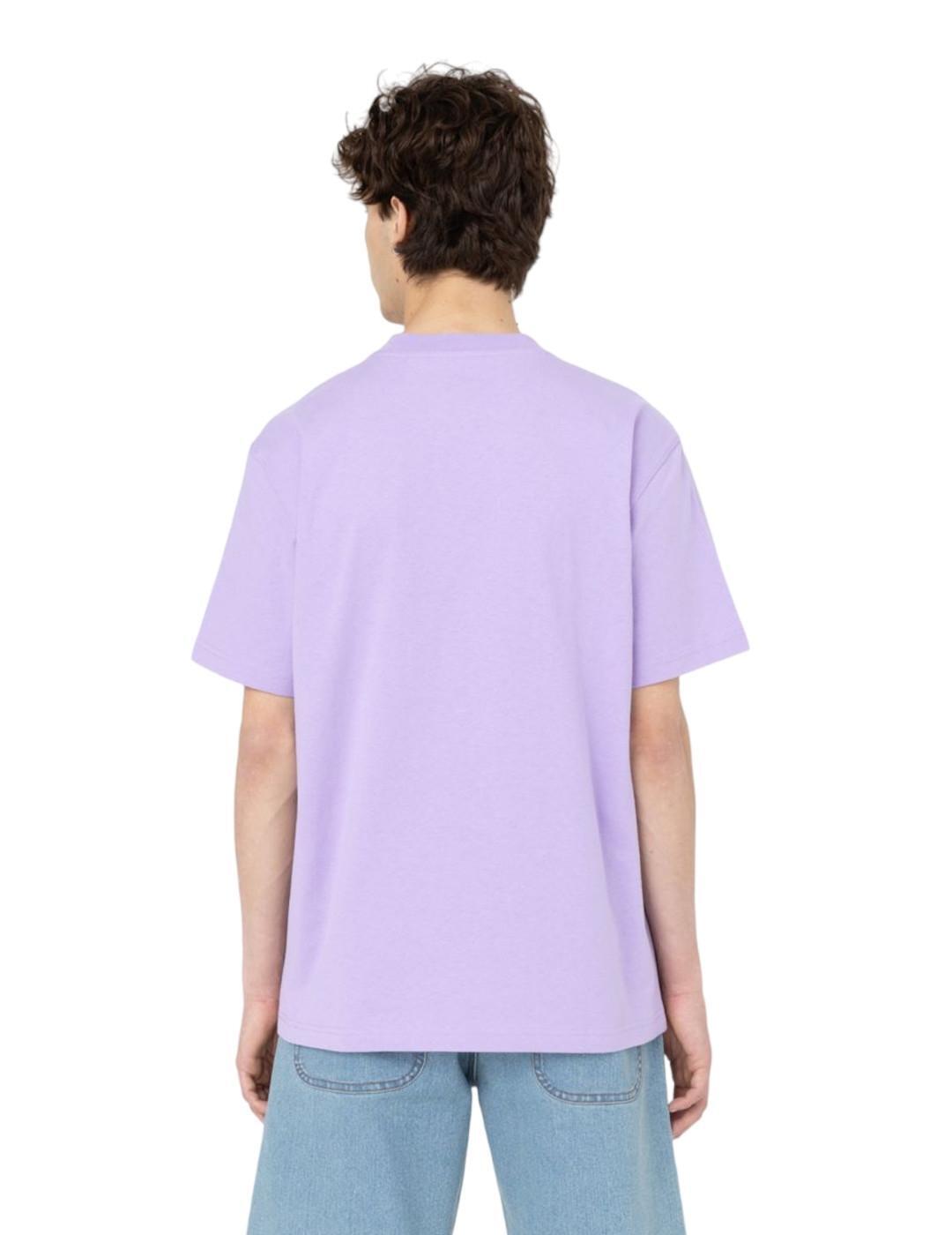 T-shirts pour homme Dickies Violet. 4/6