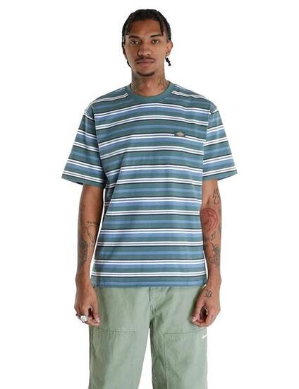 Camiseta para Hombre Dickies glade spring Multicolor