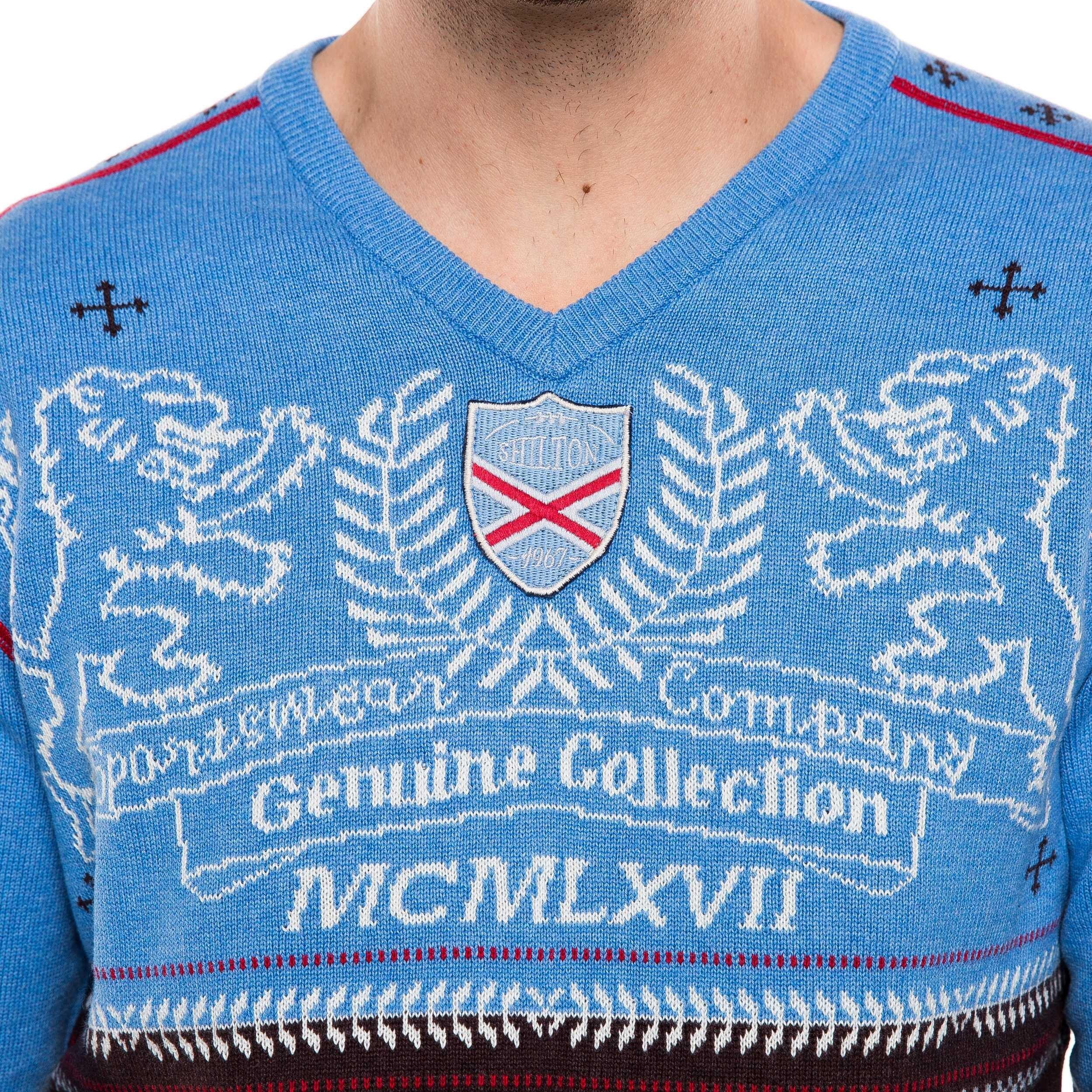 Pull Col V Lions homme 3/4