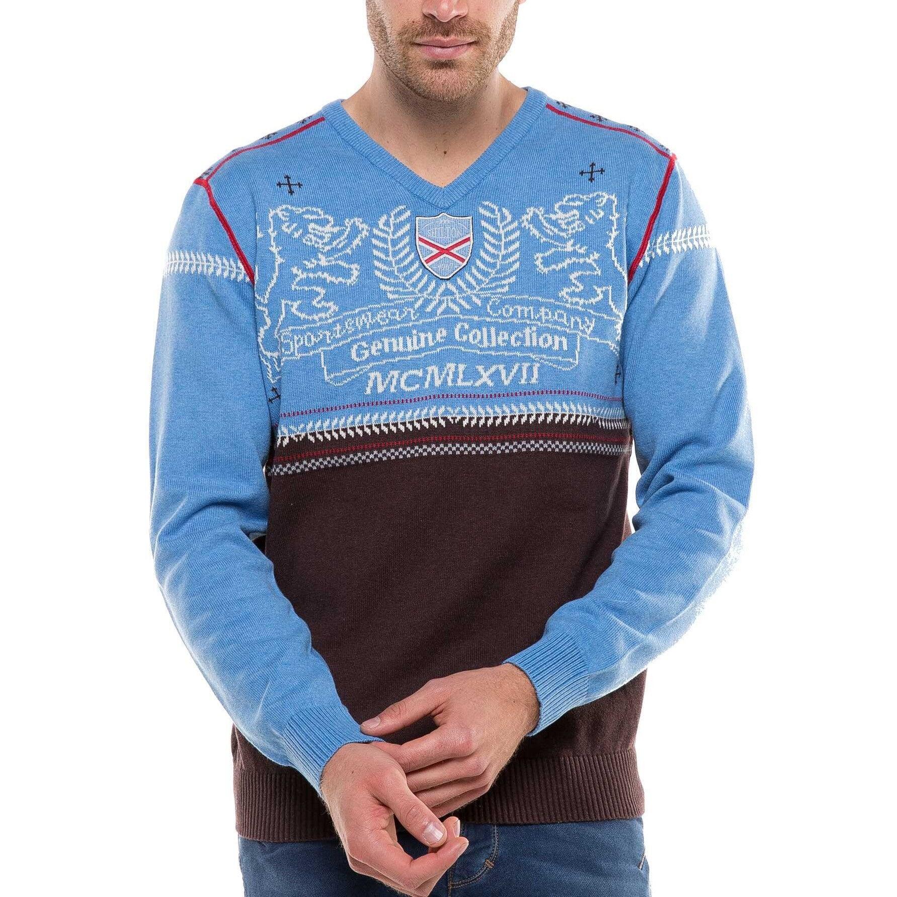 Pull Col V Lions homme 1/4