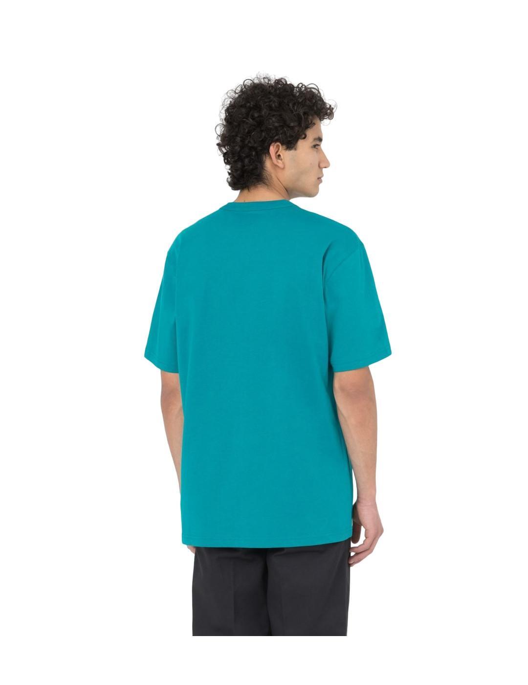 Camiseta para Hombre Dickies Aitkin Verde 4/4
