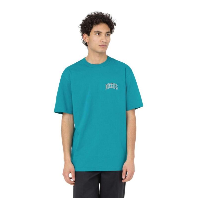 Camiseta para Hombre Dickies Aitkin Verde