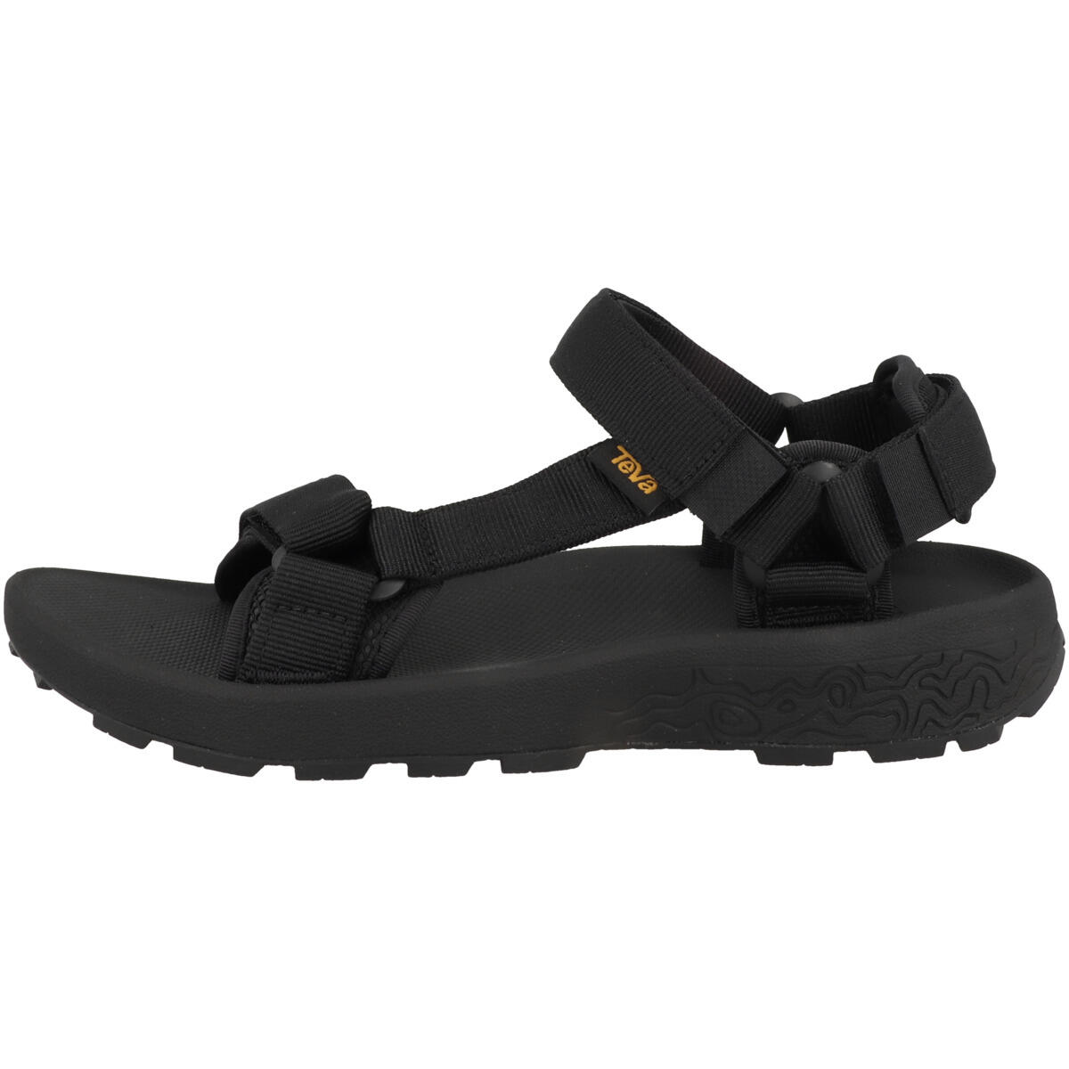 TEVA picture