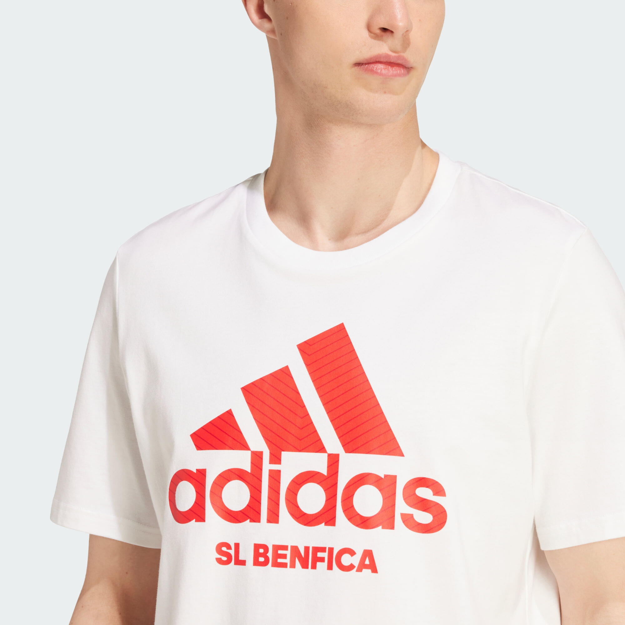 Benfica Seasonal graphic T-shirt