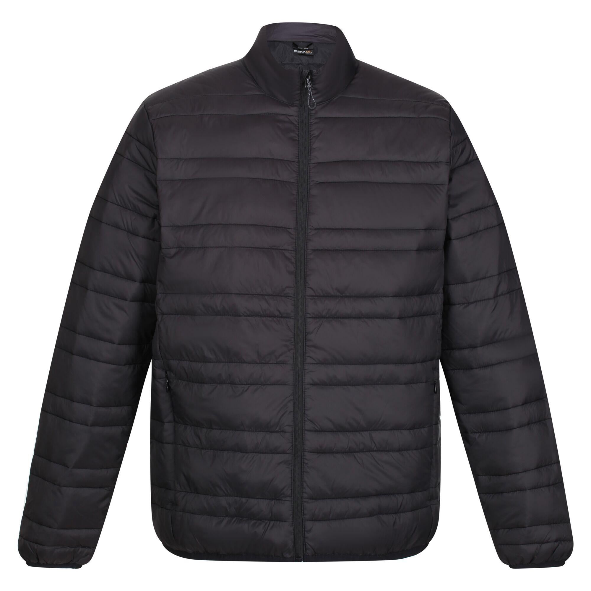 REGATTA Mens Padded Jacket (Black/Black)