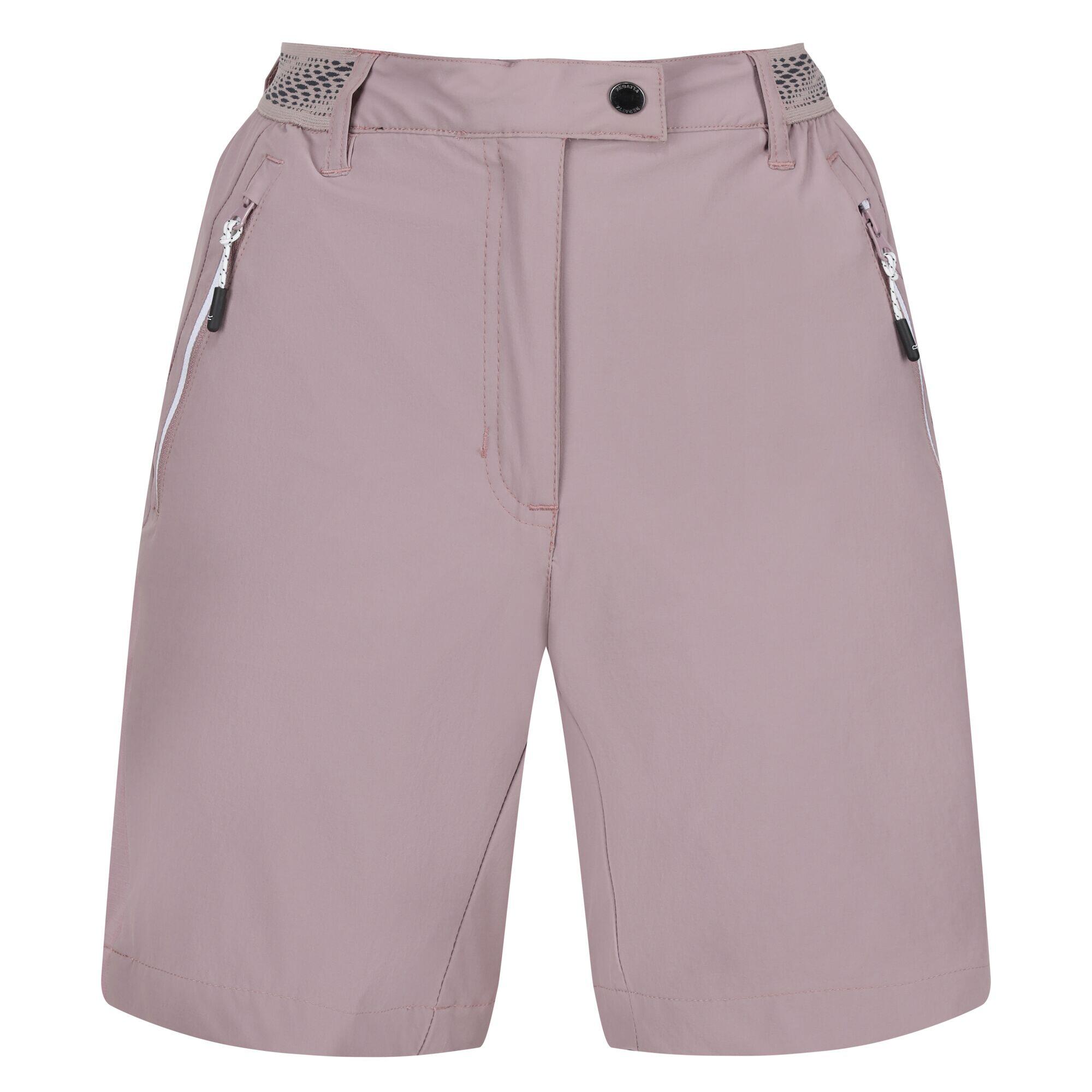 REGATTA Womens/Ladies Mountain II Shorts (Heather)