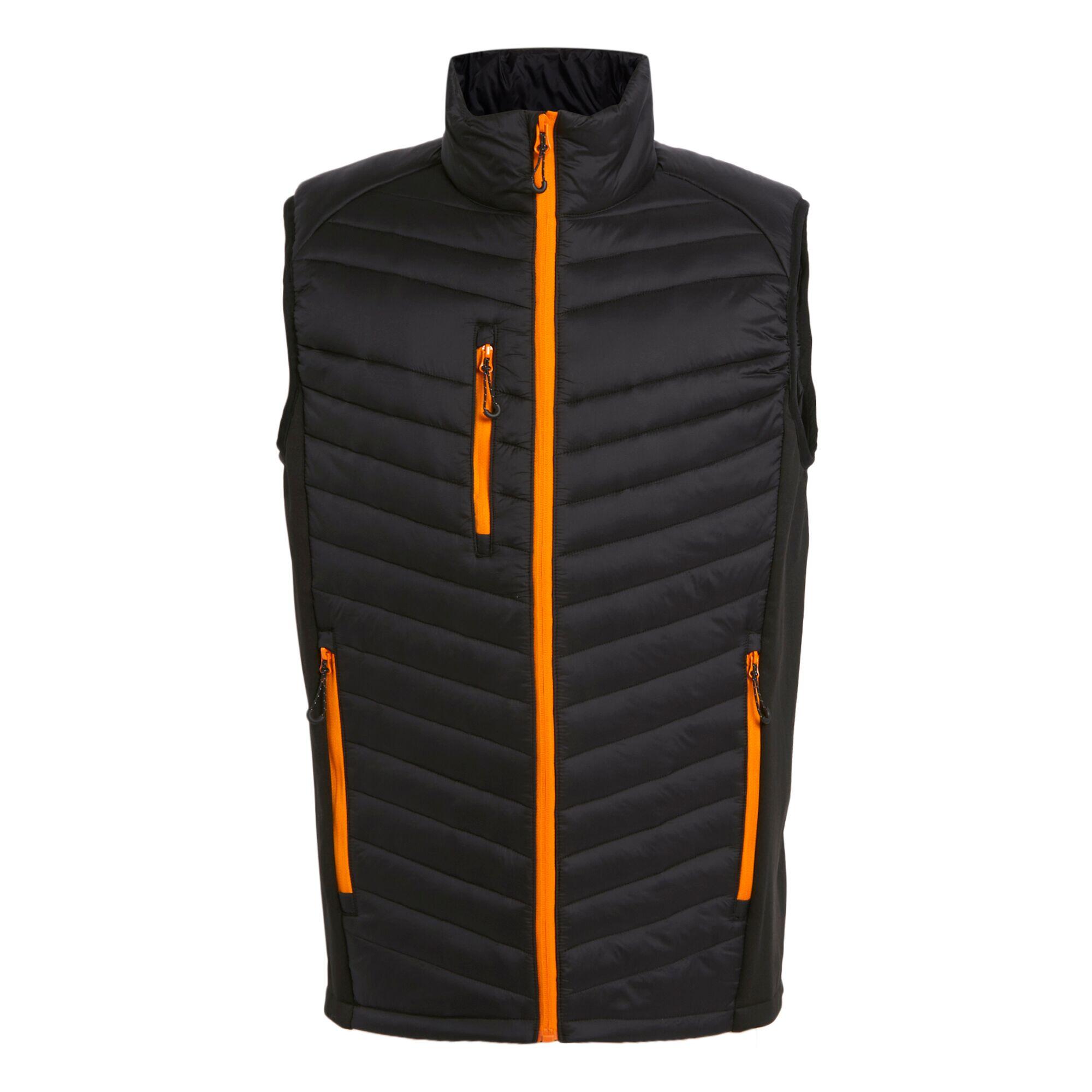 REGATTA Mens Quilted Hybrid Gilet (Black/Orange Pop)
