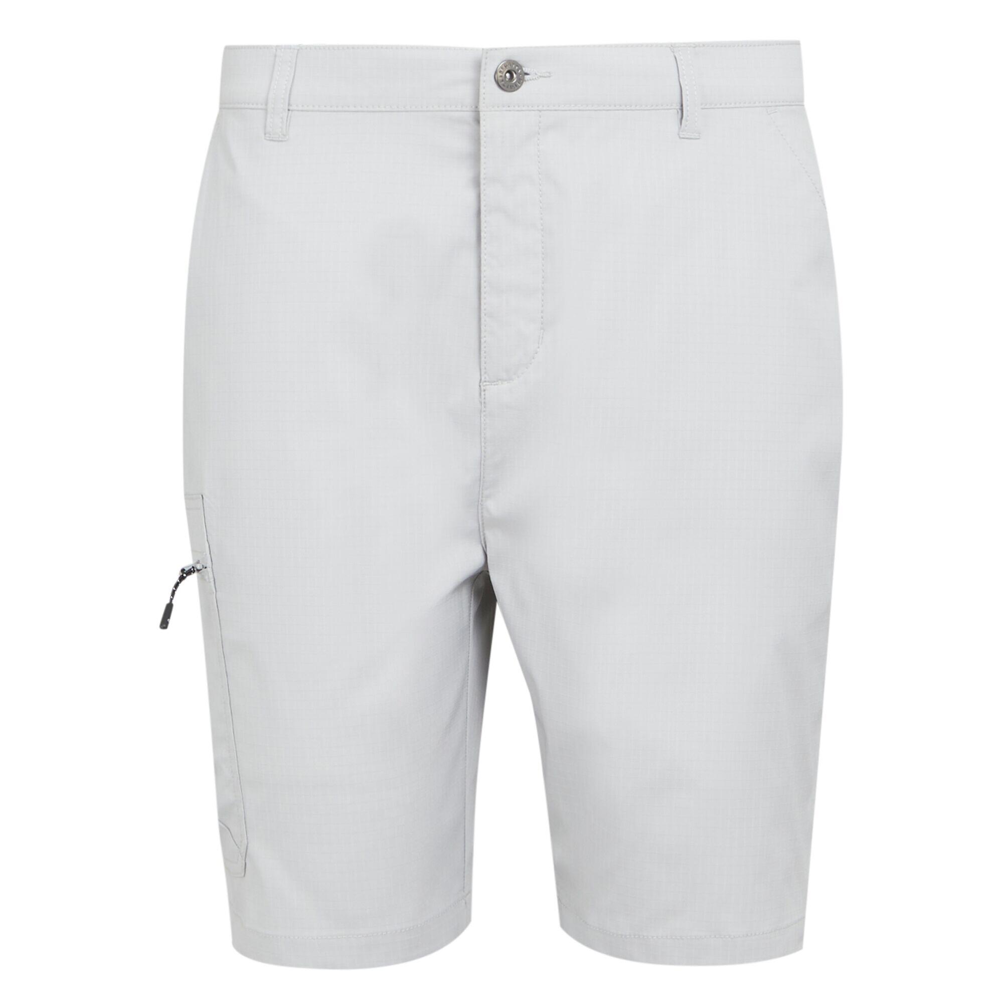 Men's DALRY shorts (Silver grey)