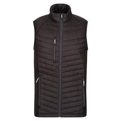 Heren gewatteerd hybride gilet (zwart/nieuw royal)
