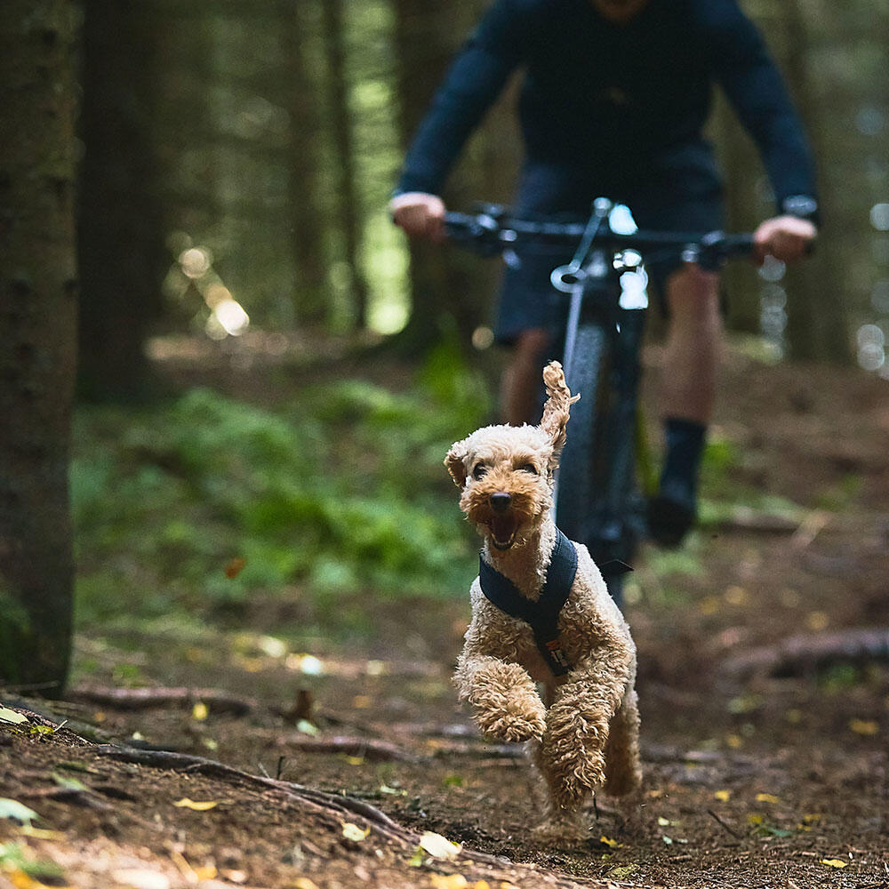 Harnais Canicross & Bikejoring Non-stop dogwear Freemotion harness 7/7