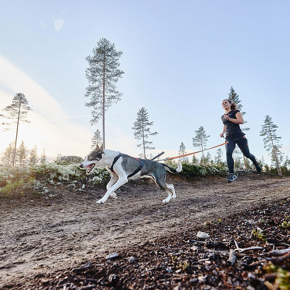 Harnais Canicross & Bikejoring Non-stop dogwear Freemotion harness 6/7