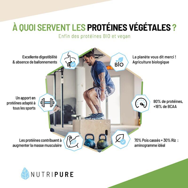 Protéine De Riz Bio En Poudre – 1,5 Kg, Fabriqué En France
