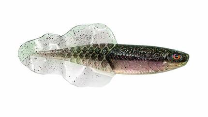 Leurre Souple - Leurre Souple - Flacid Shad - 7.6cm - 107 Sticky Brisket