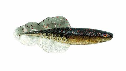 Leurre Souple - Leurre Souple - Flacid Shad - 10.8cm - 108 Bruiser