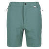 Short MOUNTAIN Homme (Céladon / Pastel turquoise)