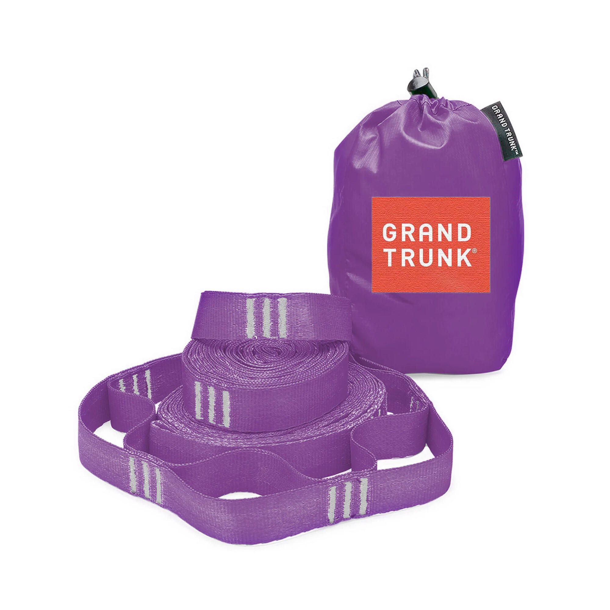 GRAND TRUNK picture