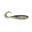 Curly Bait - 10.16cm - 105 Money