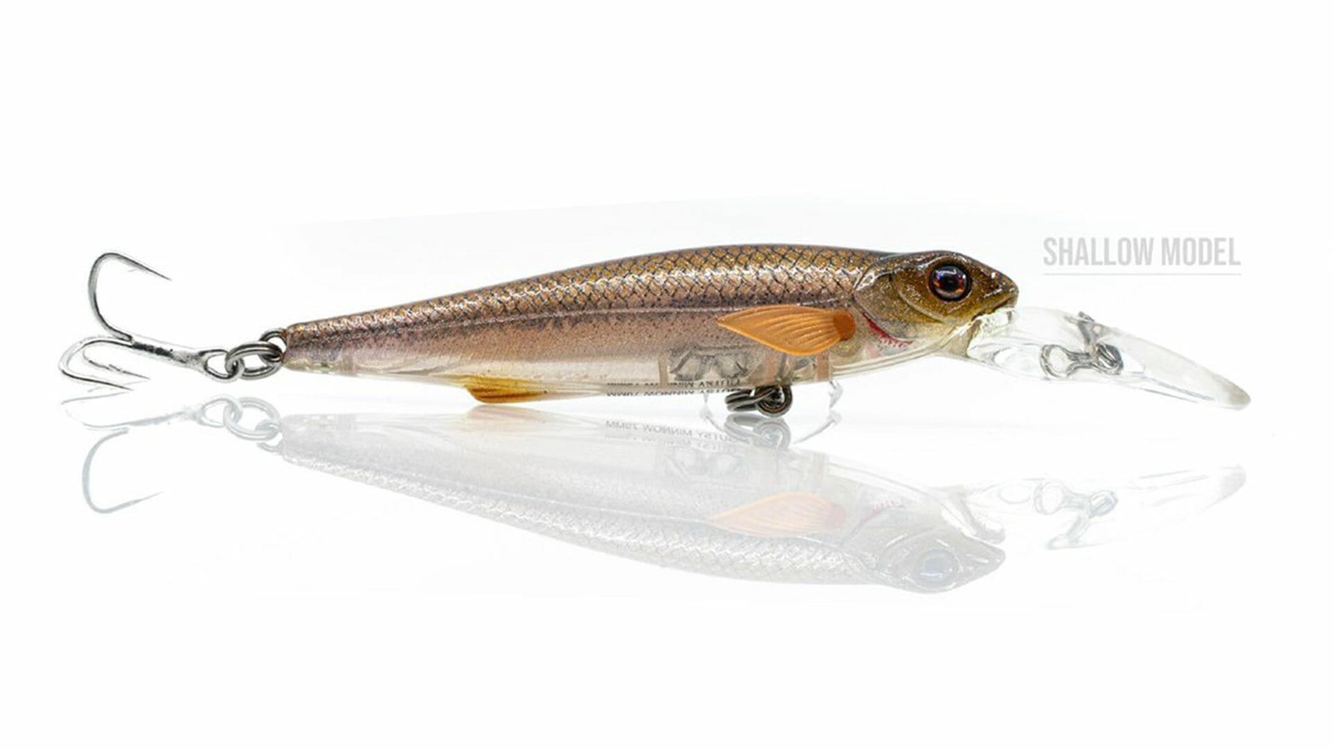 CHASEBAITS picture