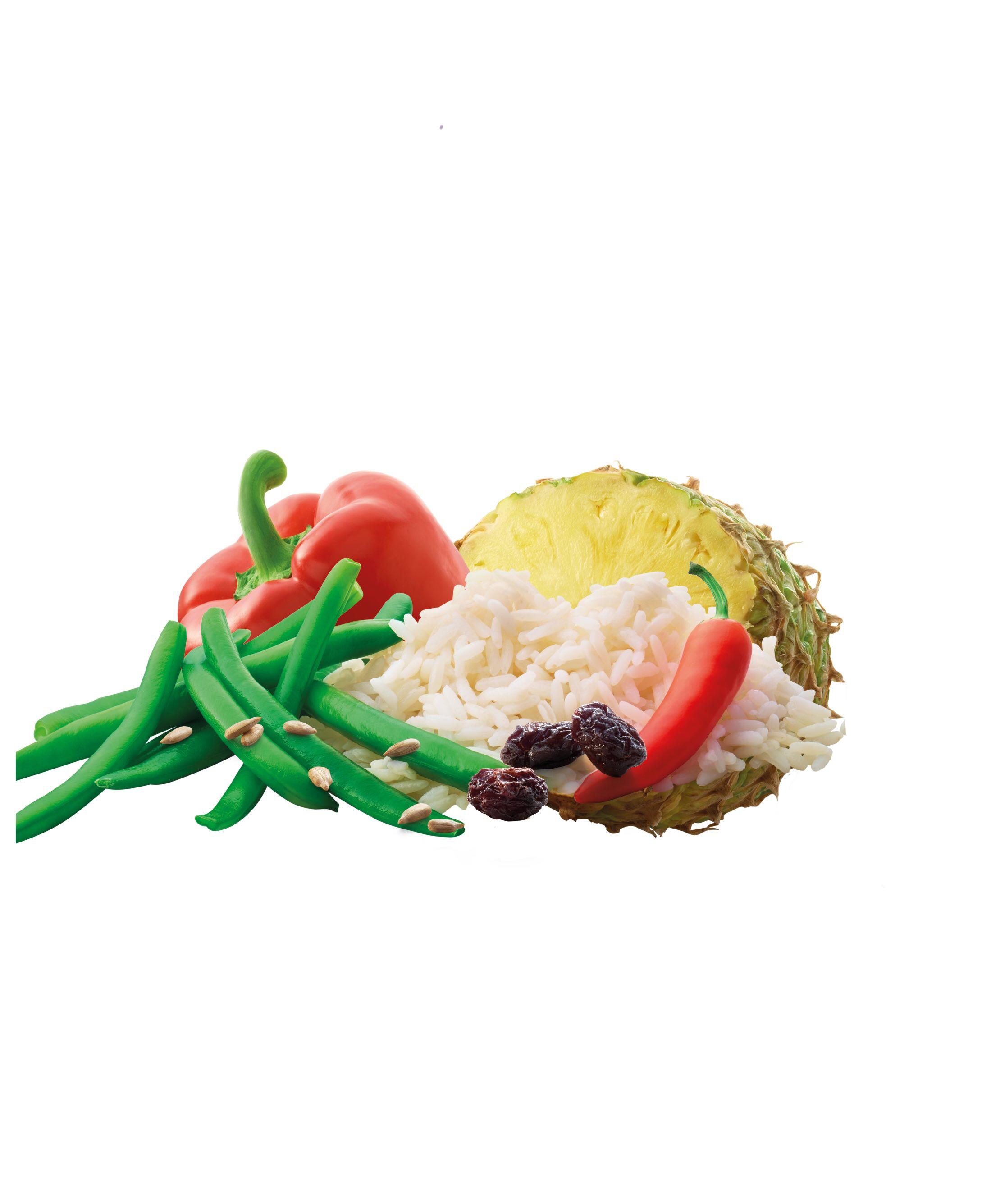 Adventure Food Riz au Curry et Fruits 2/2