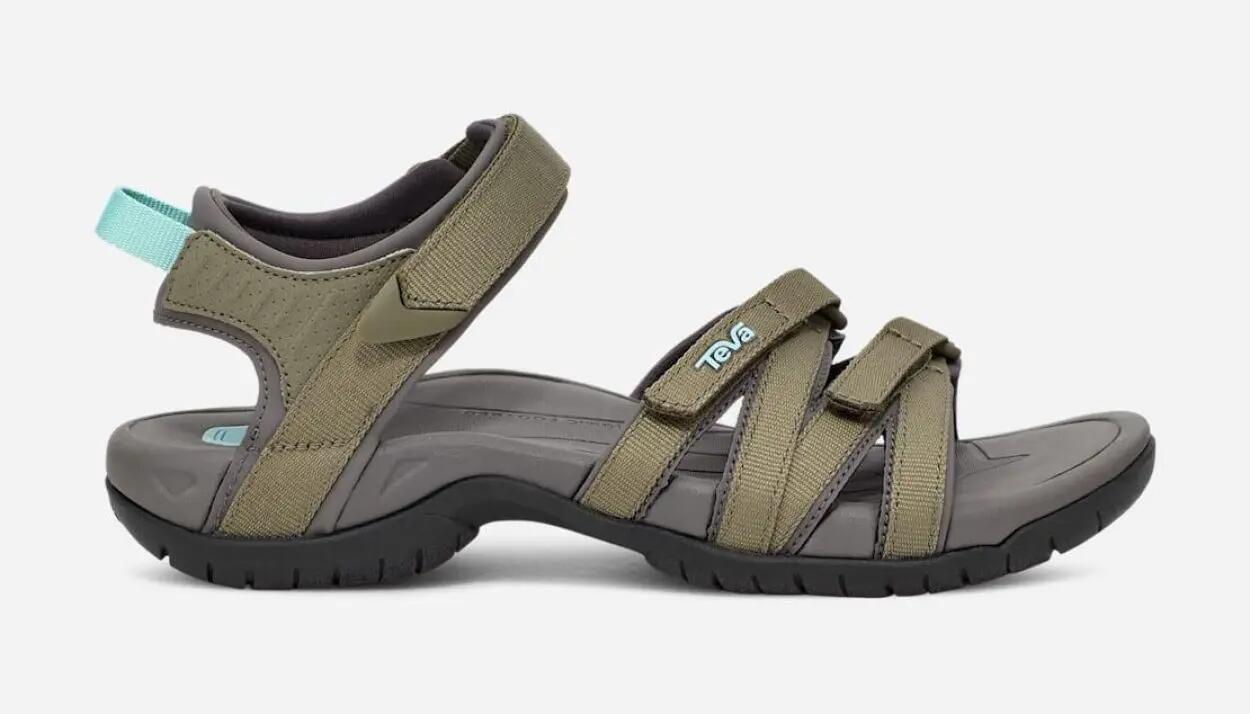 TEVA picture