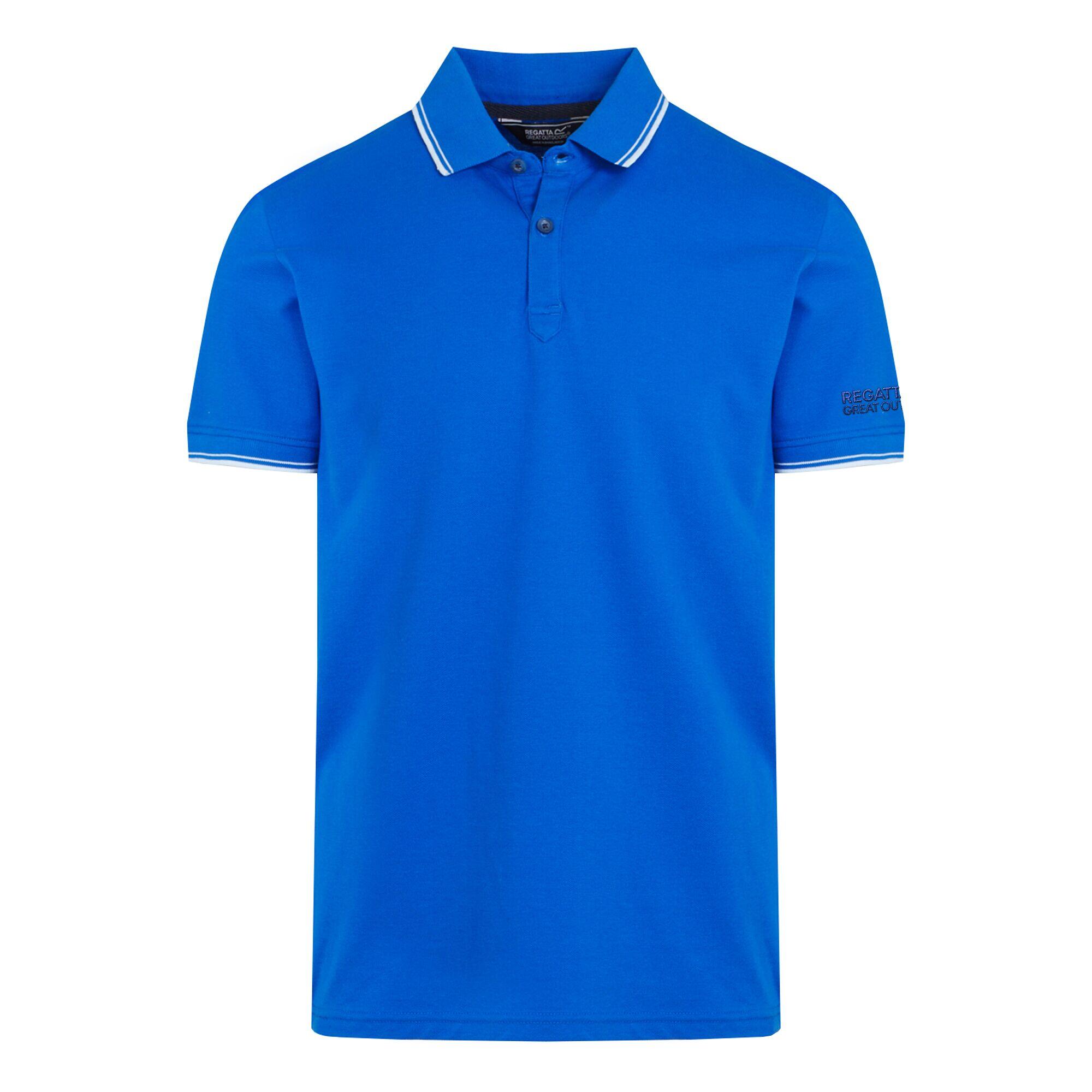 royal blue / white