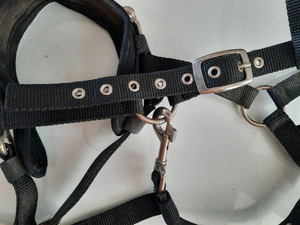C2C - Paardenbox 2/5