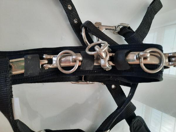 C2C - Paardenbox 3/5