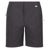 Short HIGHTON Homme (Gris phoque)