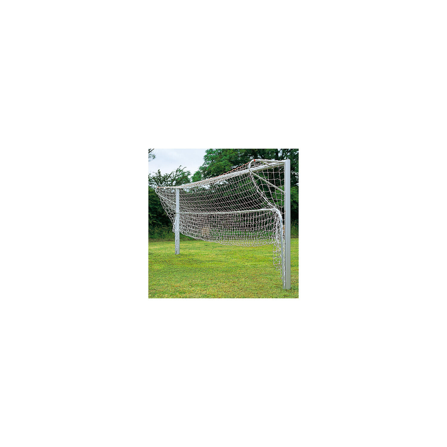 SPORT-THIEME picture