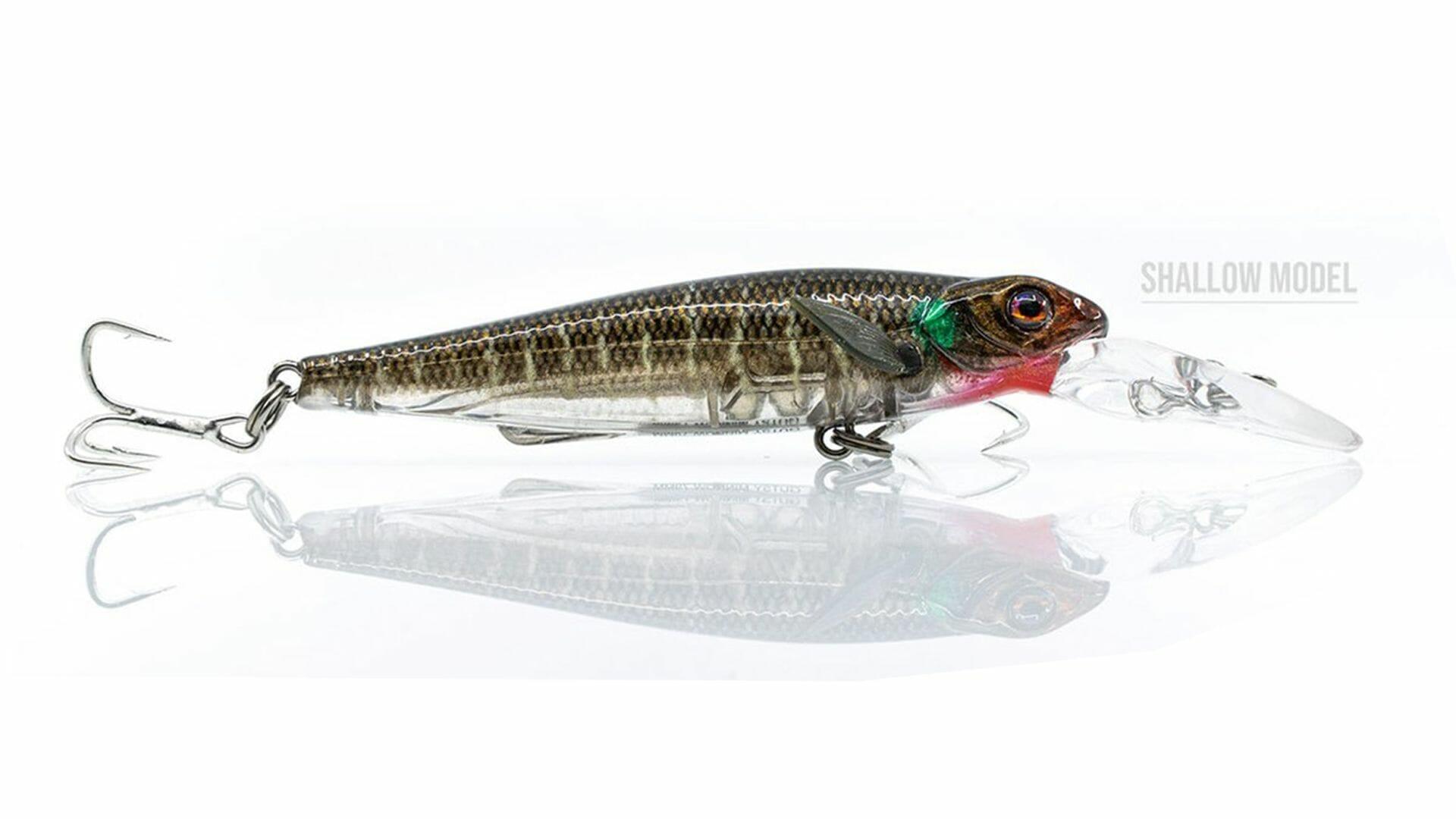 CHASEBAITS picture