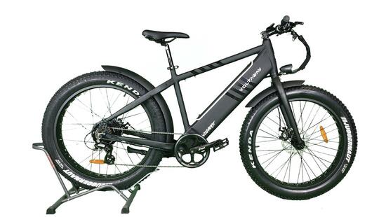 Vélo FatBike électrique - Wildbeast Noir