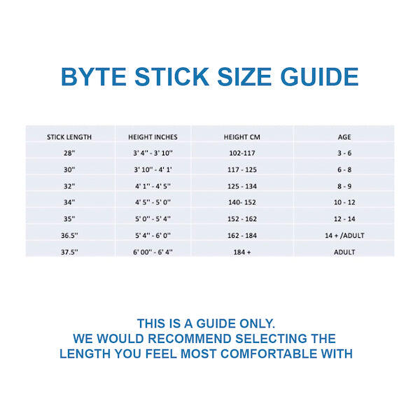 BYTE TS100 4/5