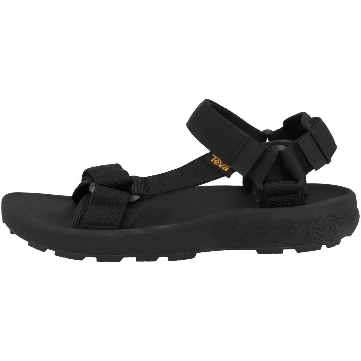 TEVA picture