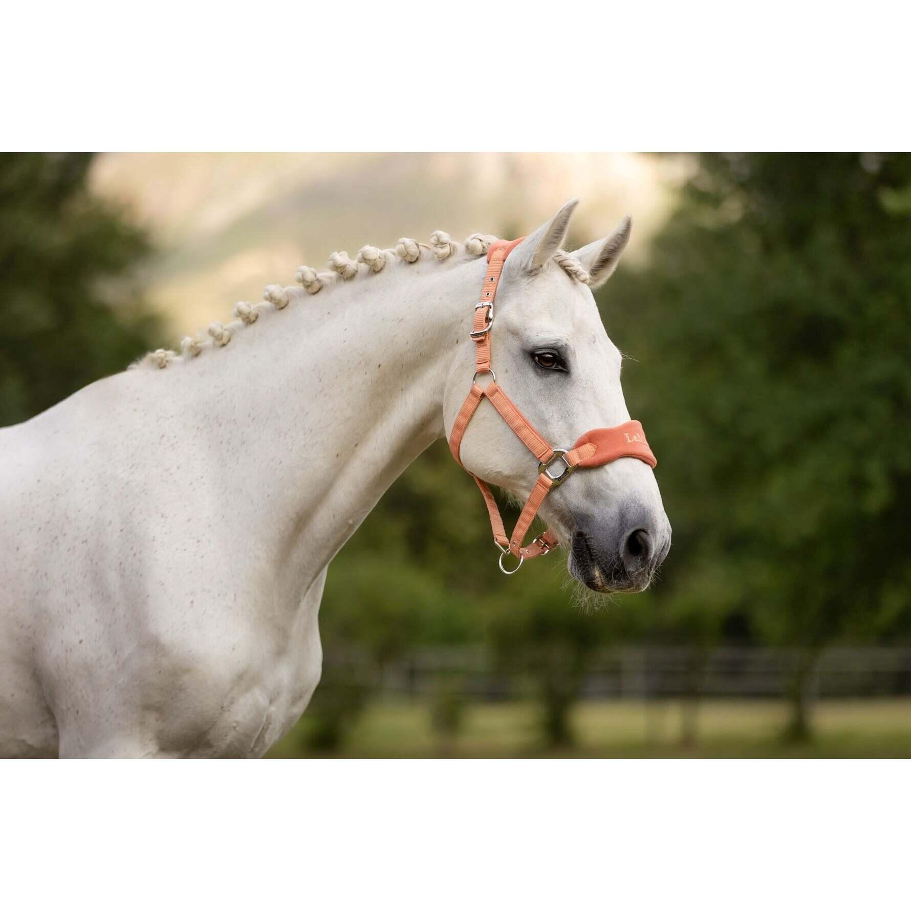 Halster en touwset voor paarden LeMieux Vogue 2/7