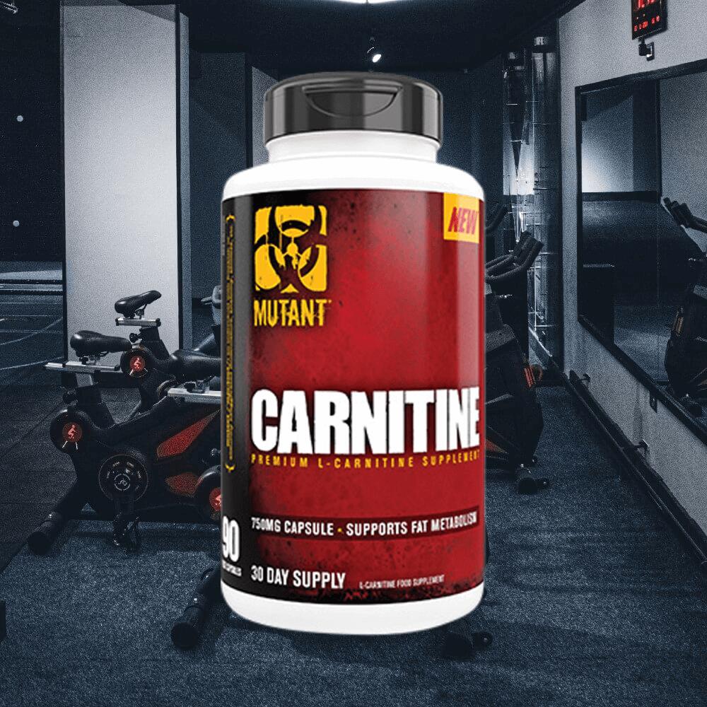 mutant l carnitine Can L-Carnitine Fumarate Support Energy Levels for Long COVID and ME/CFS  Patients? main image 0