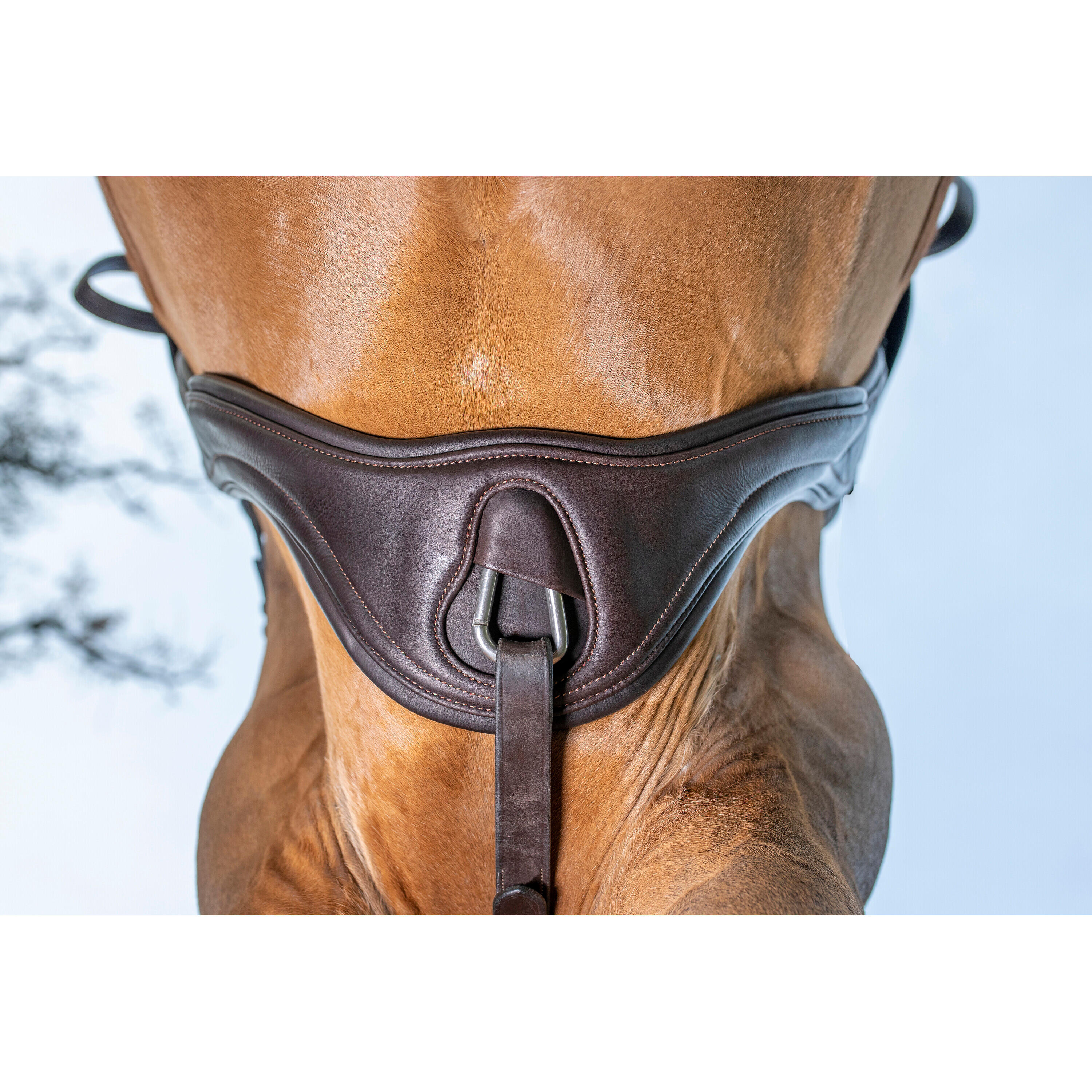 Anatomische lederen singel voor paarden LeMieux Gel-Tek 2/6