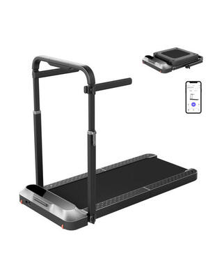 Kingsmith walkingpad r2h loopband