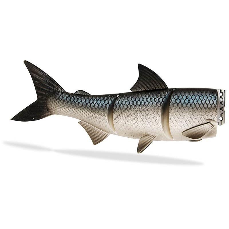 FISHINGGHOST picture