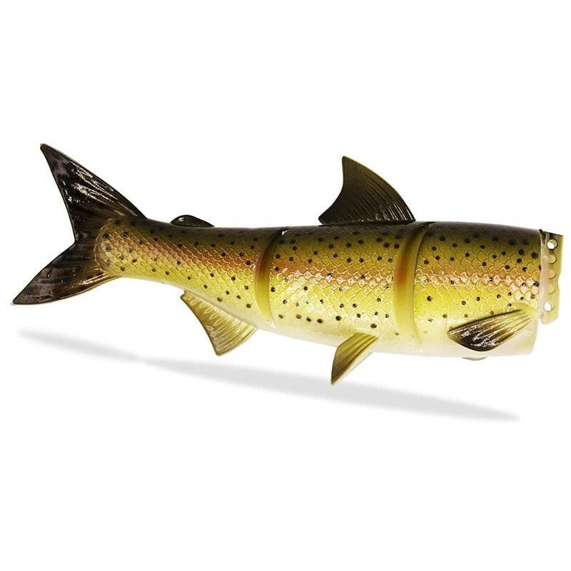 FISHINGGHOST picture