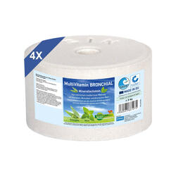 MultiVitamin BRONCHIAL - pierre à lécher minérale, jeu de 4x 3kg