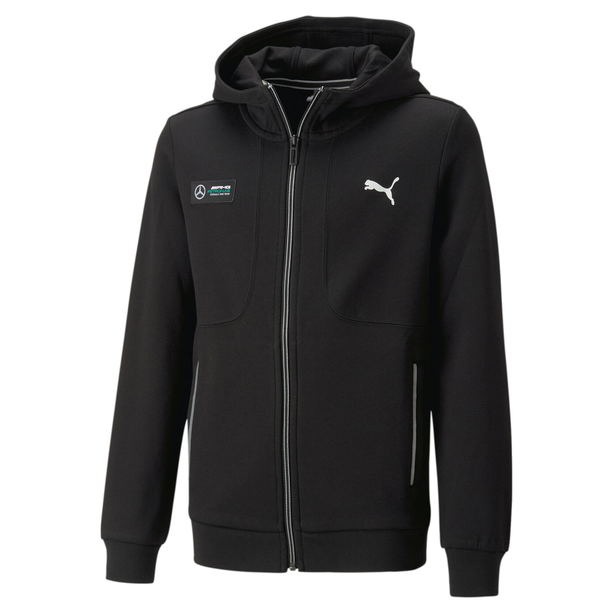 PUMA picture