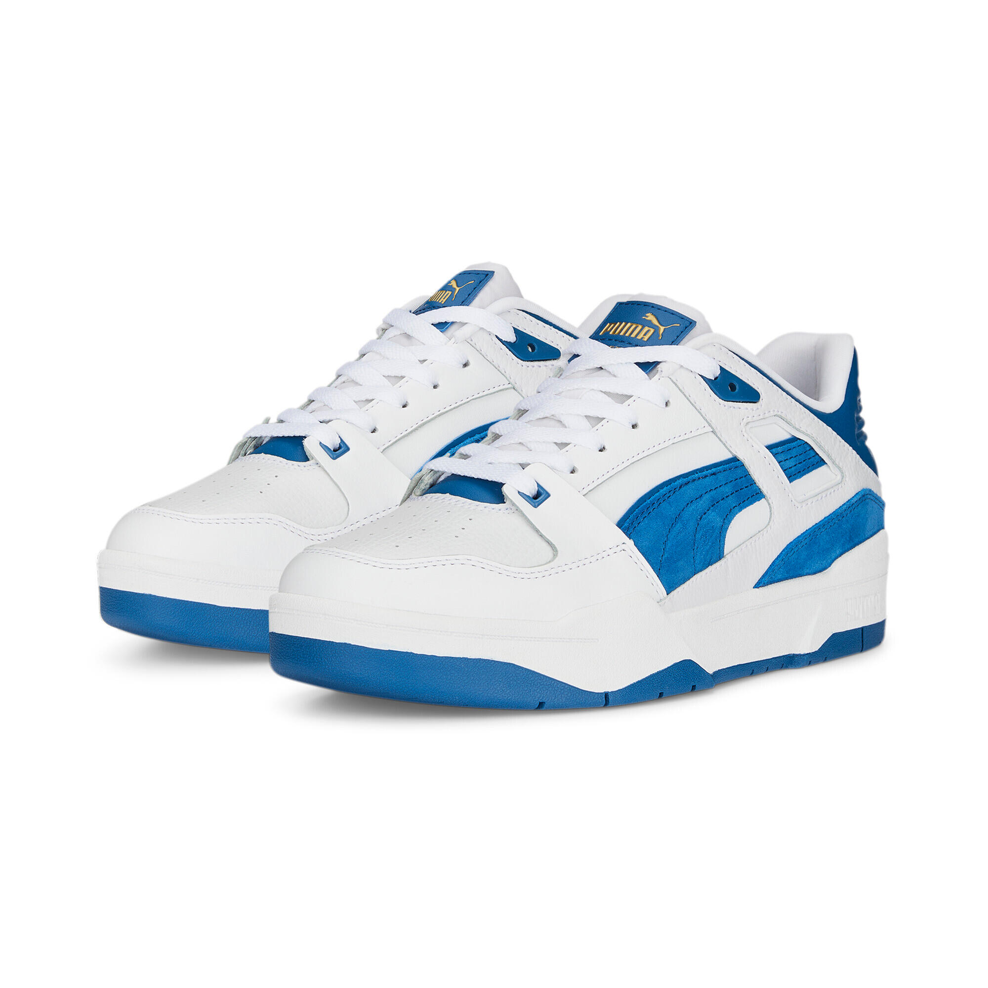 PUMA picture