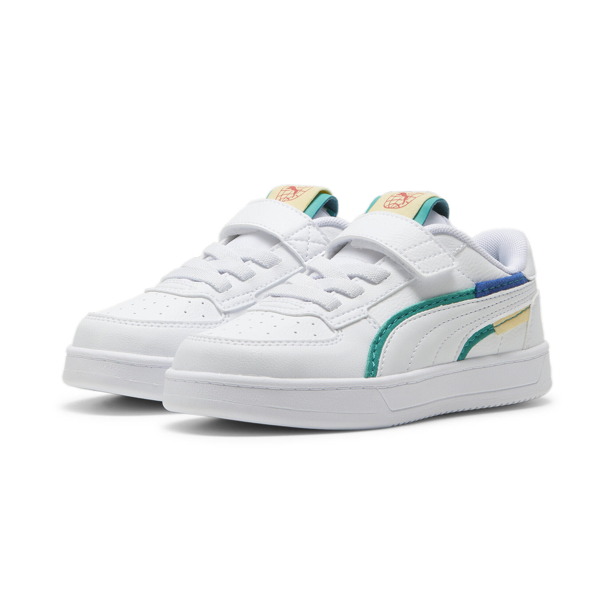 PUMA picture