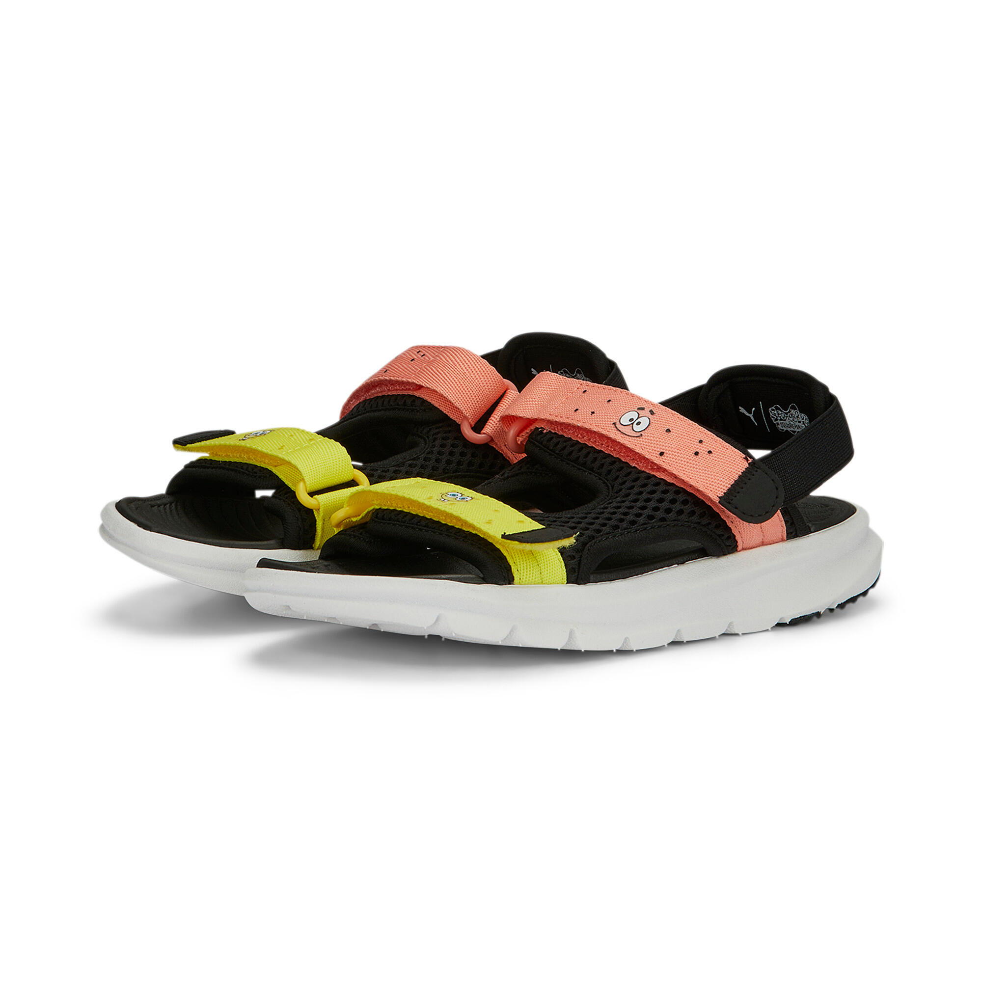 PUMA picture