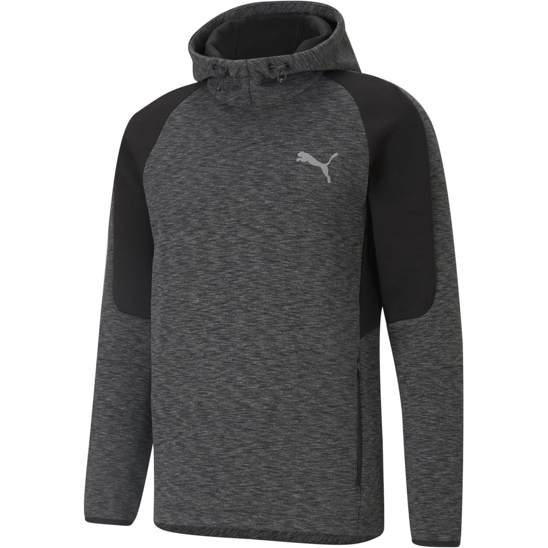 PUMA picture